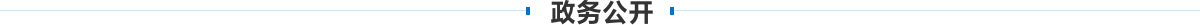 竞彩比分